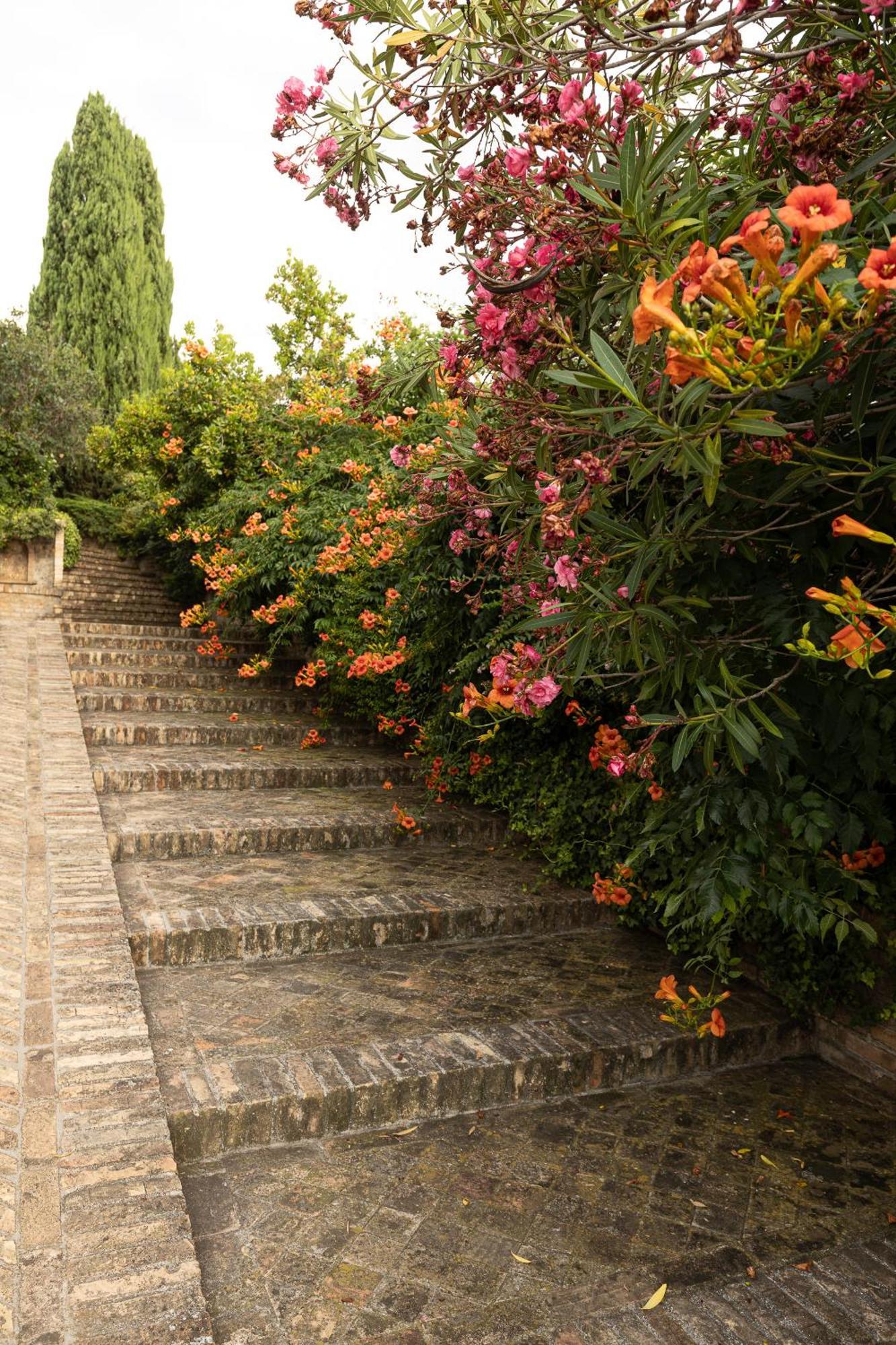 B&B Villa Dei Desideri Chieti Eksteriør billede